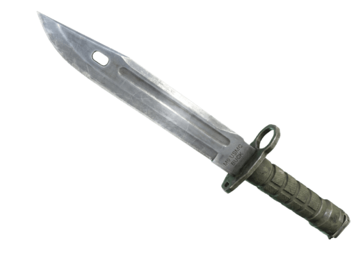 Bayonet